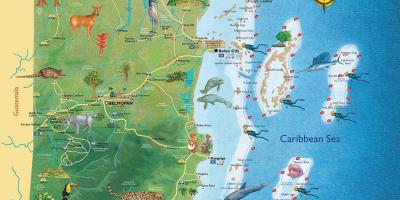 Belize cổng bản đồ